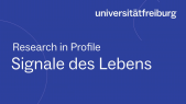 thumbnail of medium Research in Profile - Aida Maric - deutsch untertitelt