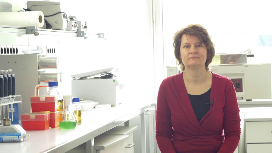 Prof. Dr. Annegret Wilde, Molekulare Genetik